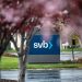 Phá sản của Silicon Valley Bank (SVB)